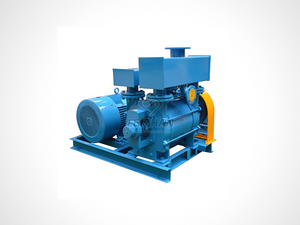 Water Ring Vacuum Pulp Pump